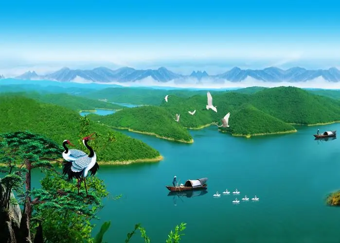 高效高质量全自动